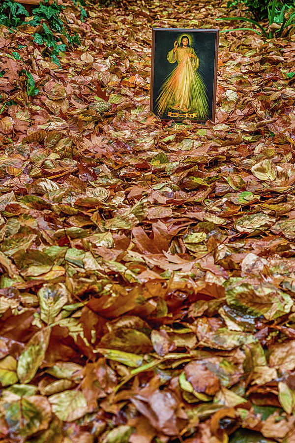 Fall Photograph - Merciful Jesus icon among fallen Autumn leaves  by Vivida Photo PC