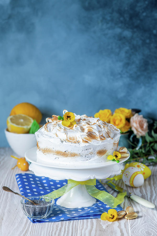 Meringue Cake For Easter Photograph by Irina Meliukh