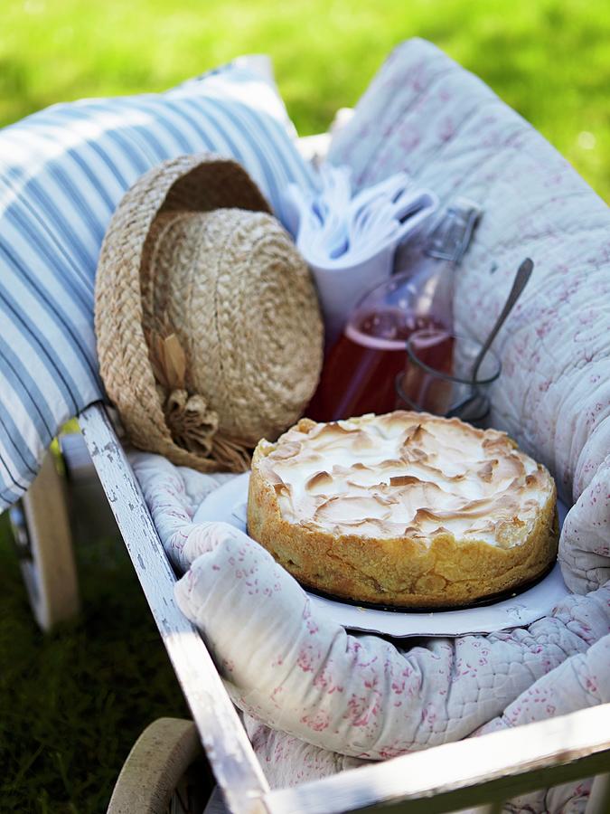 Meringue Cake With Rhubarb And Raspberry Juice On A Handcart In A Summer Garden Photograph by Magnus Carlsson