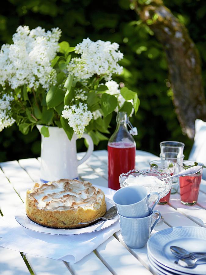 Meringue Cake With Rhubarb And Raspberry Juice On A Summer Garden Table Photograph by Magnus Carlsson