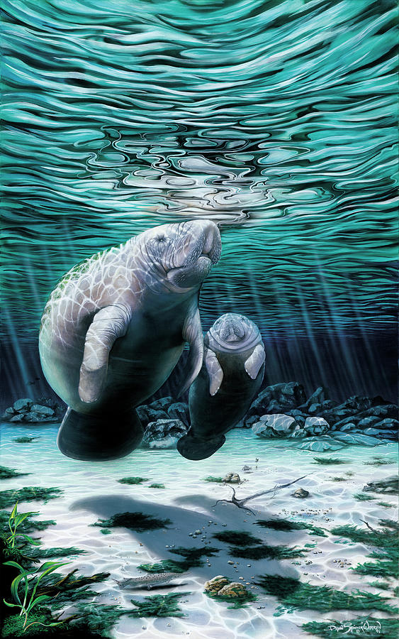 Animal Painting - Mermaids Of Crystal River by Dann Spider Warren