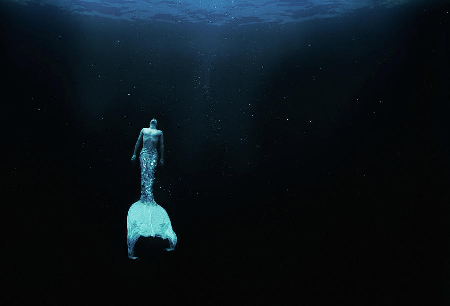 Merman Swimming Underwater, Low Angle Photograph by Zena Holloway Merman Swimming Underwater, Low Angle Photograph by Zena Holloway