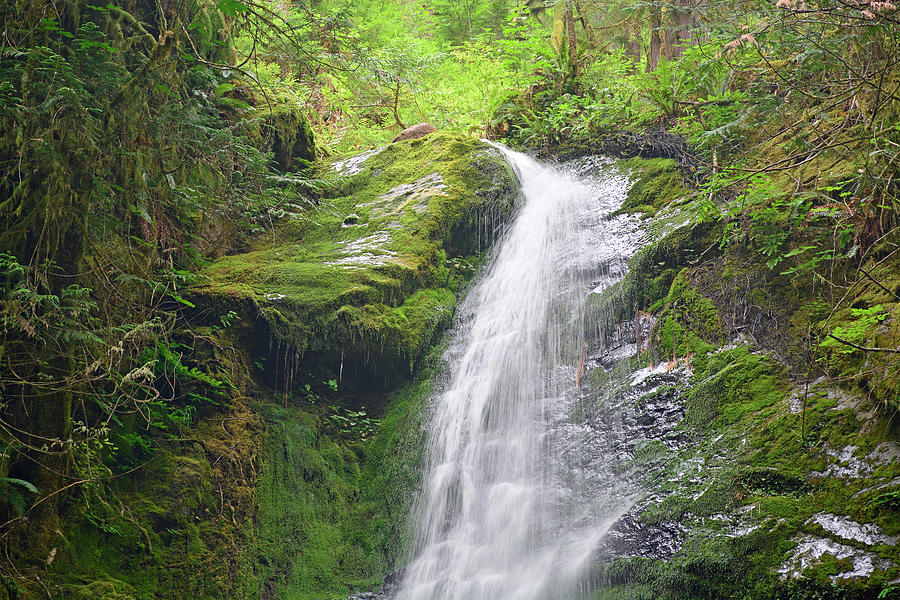 Merriman Falls Olympic National Park C Photograph by Bruce Gourley