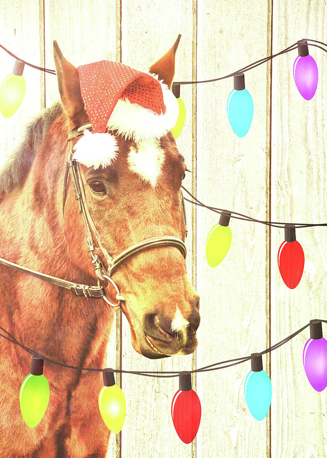 Merry And Brite Lites Photograph by Dressage Design