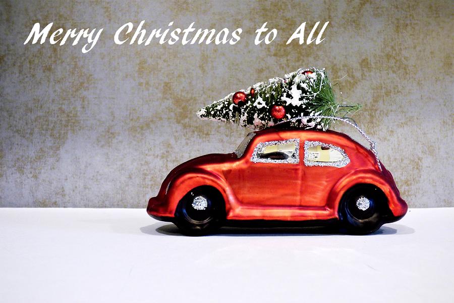 Merry Beetle Christmas Photograph by Sharon Williams Eng