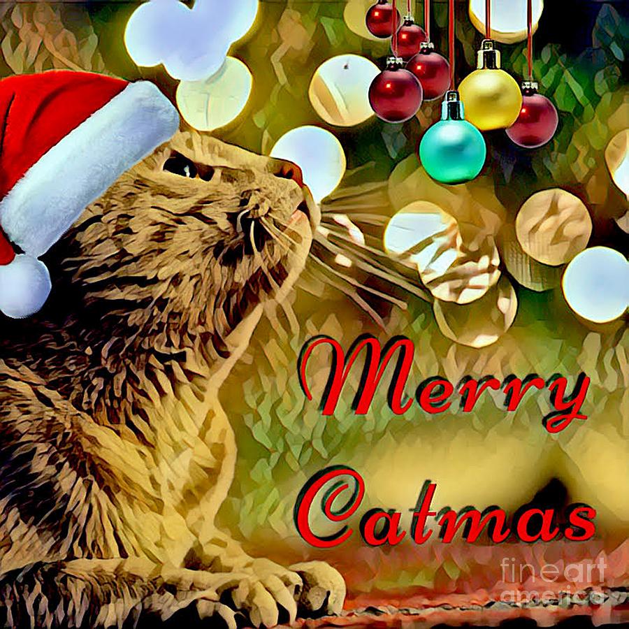 Merry Catmas Digital Art by Waterflower Designs - Fine Art America