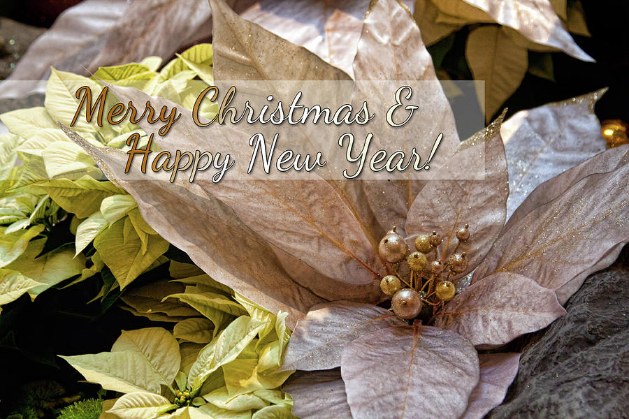 Merry Christmas and Happy New Year Greeting Card Photograph by Tatiana Travelways