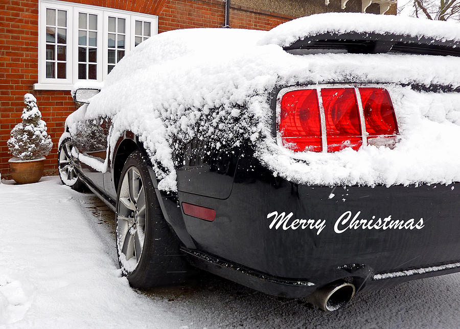 Merry Christmas Black Mustang Photograph by Gill Billington