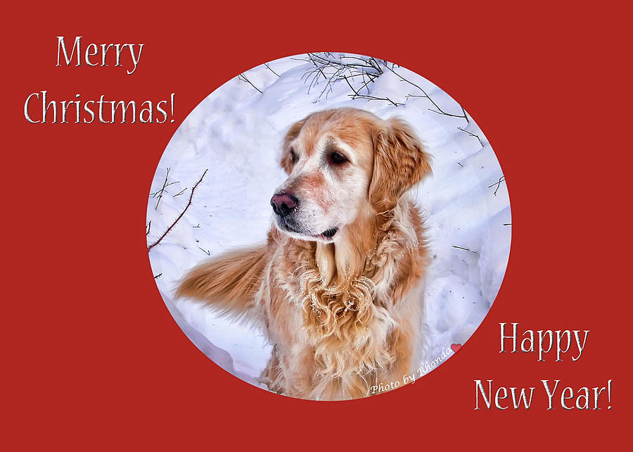 Merry Christmas Happy New Year Photograph by Rhonda McDougall