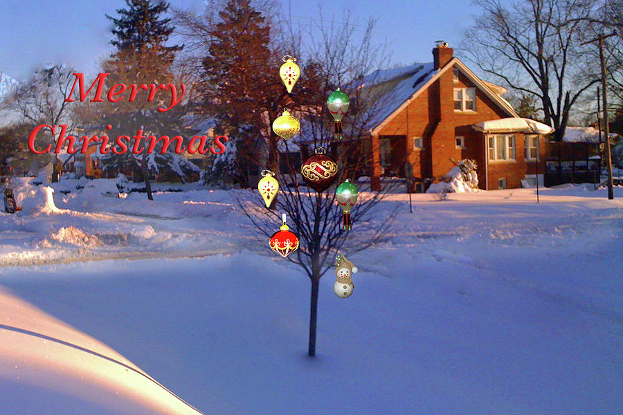 Merry Christmas Jewel Tree by MARVIN BOWSER Merry Christmas Jewel Tree by MARVIN BOWSER