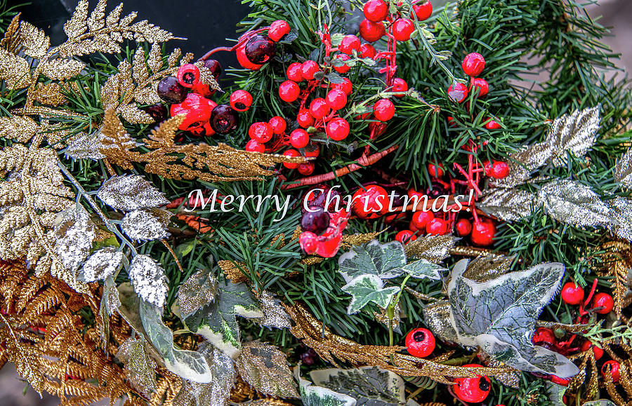 Merry Christmas Photograph by Marcy Wielfaert
