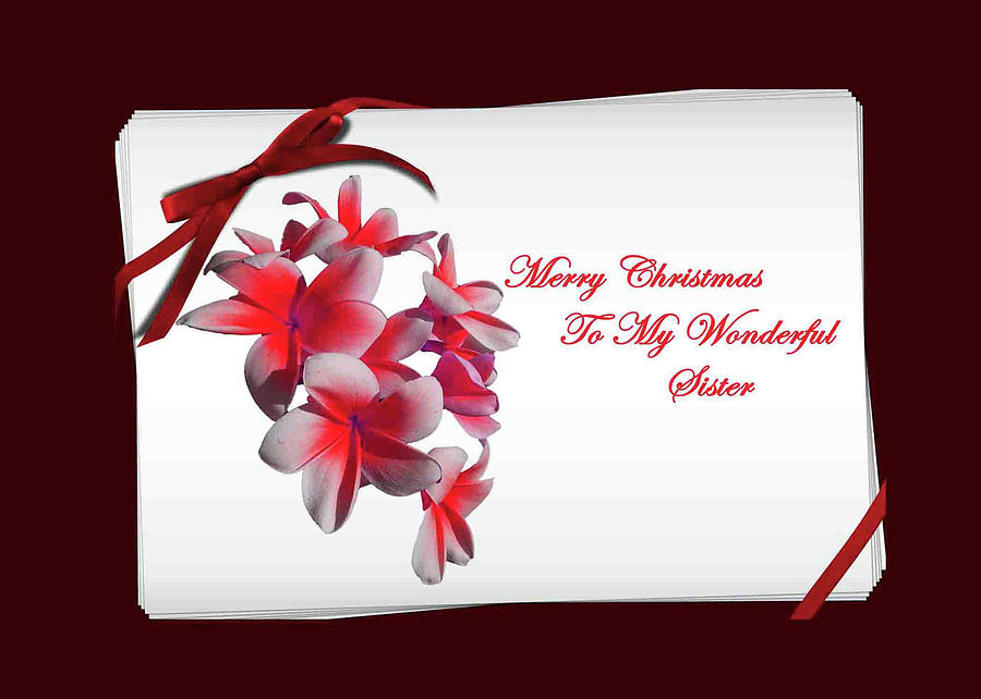 Merry Christmas to My Wonderful Sister by Jacqueline Sleter Merry Christmas to My Wonderful Sister by Jacqueline Sleter