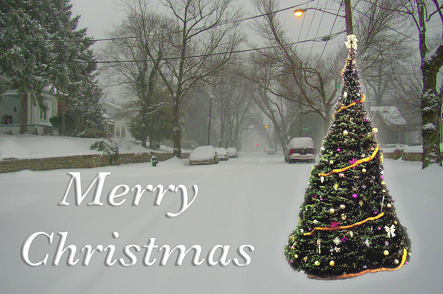 Merry Christmas Tree in Snow by MARVIN BOWSER Merry Christmas Tree in Snow by MARVIN BOWSER