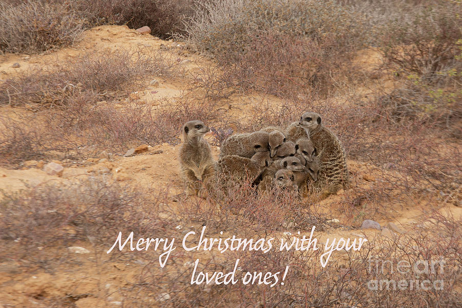 Merry Christmas with your loved ones Photograph by Patricia Hofmeester