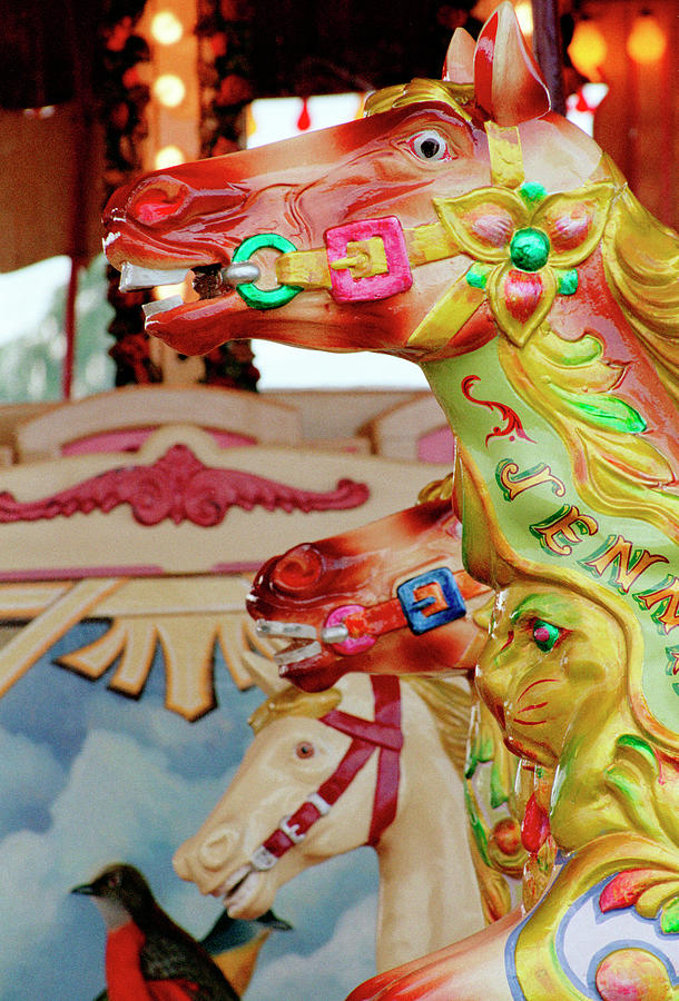 Merry go round horses Photograph by Seeables Visual Arts