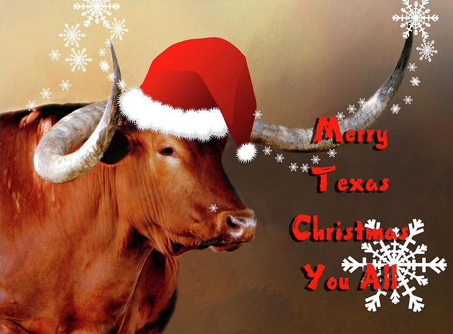 Merry Texas Christmas Card Digital Art by Linda Cox