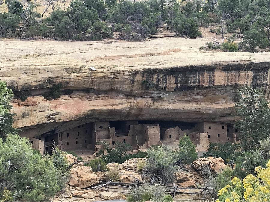 Mesa Verde Ancient Housing Photograph by Cindy Bale Tanner