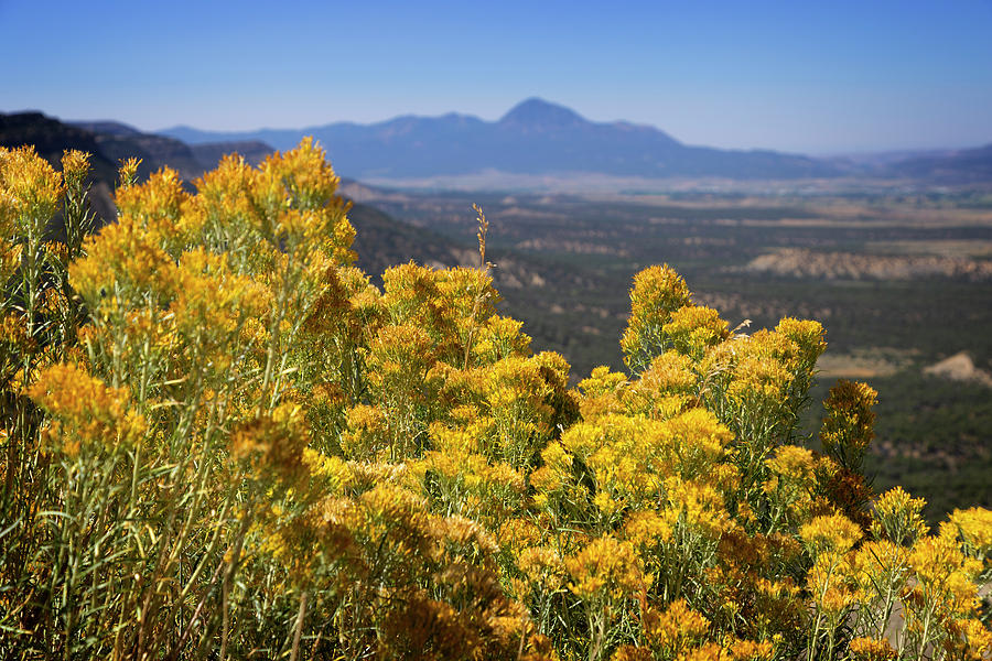 Nature Photograph - Mesa Verde National Park Colorado 4 by Ricky Barnard