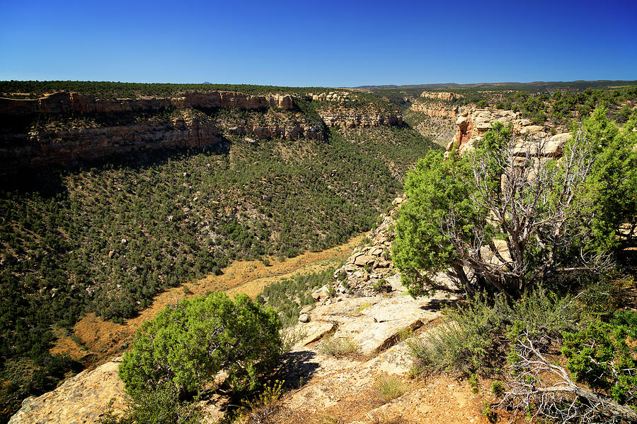 Nature Photograph - Mesa Verde National Park Colorado 6 by Ricky Barnard