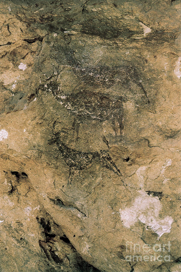 Prehistoric Painting - Mesolithic Rock Art: Deer And Goats by Prehistoric