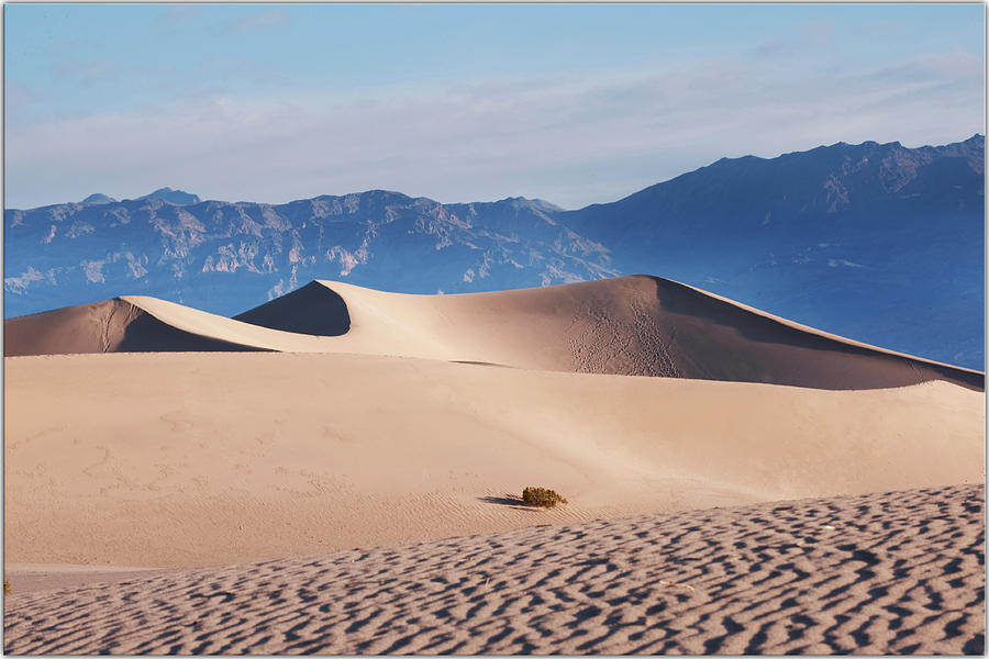 Mesquite Dunes Photograph by John B. Mueller Photography