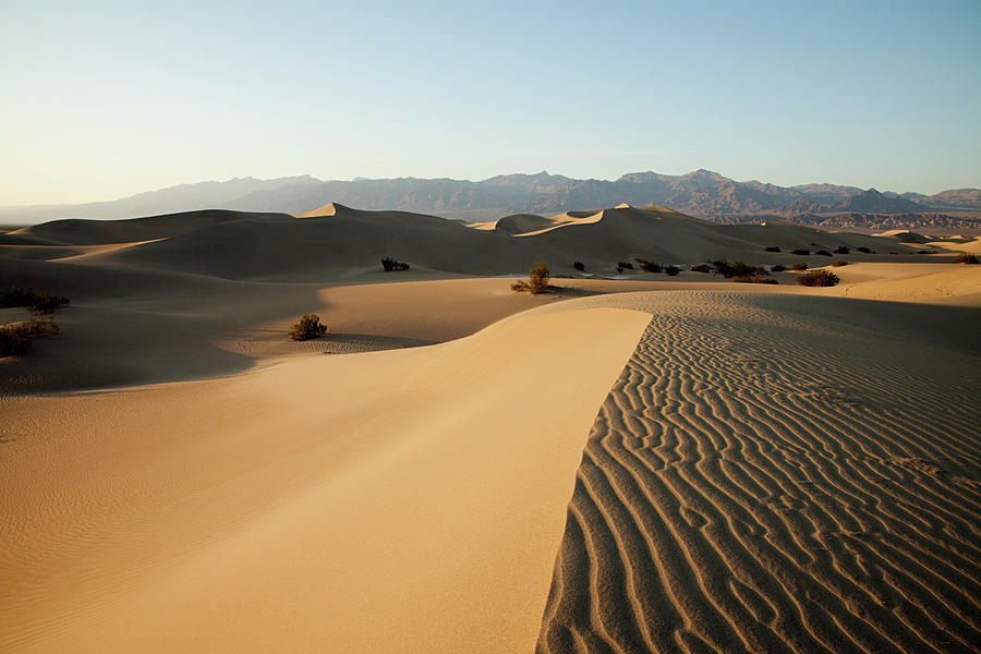 Death Valley National Park Digital Art - Mesquite Flat Sand Dunes, Death Valley, Nevada, Usa by Jesper Mattias