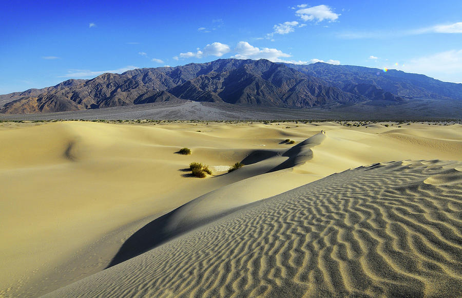 Mesquite Flat Sand Dunes Photograph by Ignacio Palacios