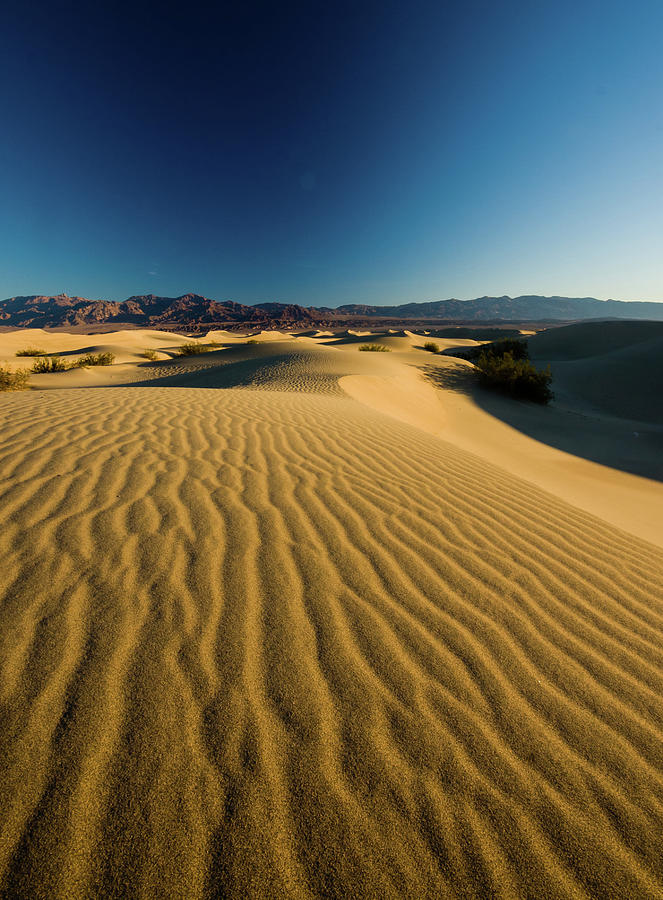 Mesquite Sand Dunes Photograph by By Sathish Jothikumar