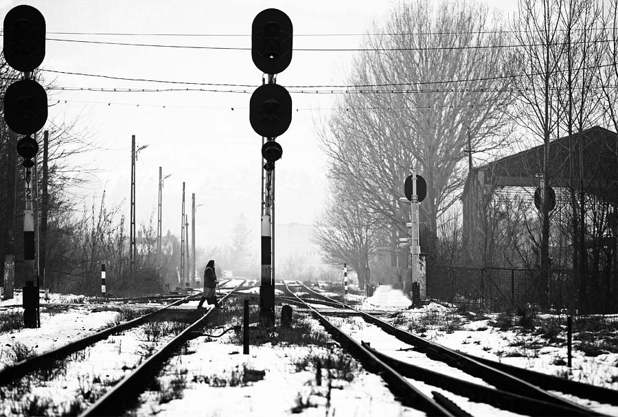 Winter Photograph - Messenger by Julien Oncete