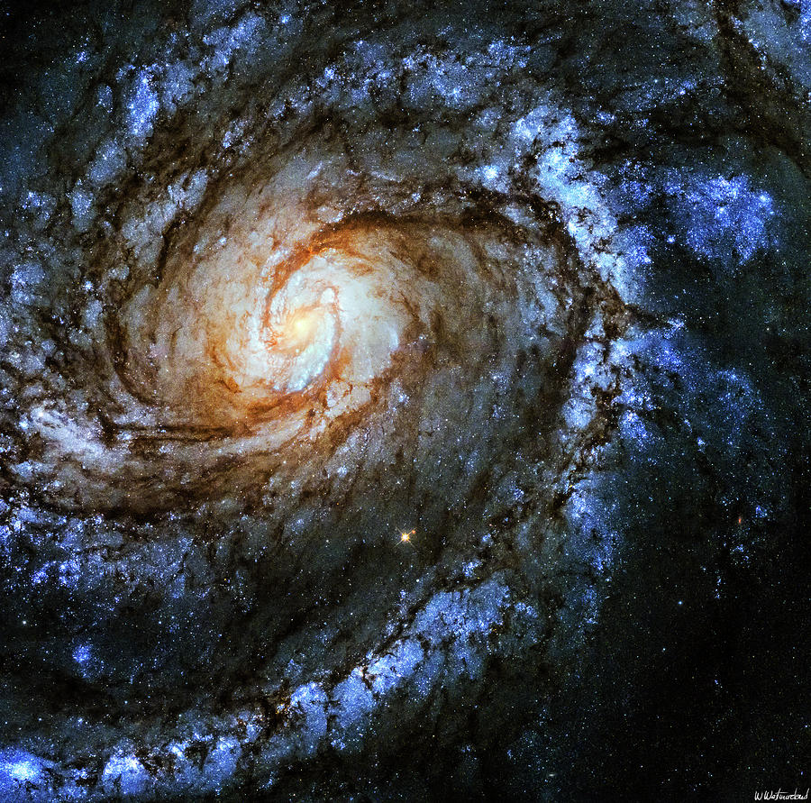 Messier 100 Galaxy Enhanced Photograph by Weston Westmoreland