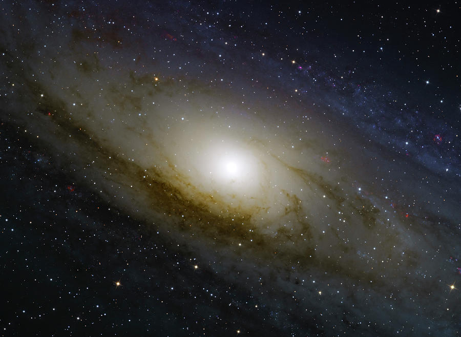 Messier 31, The Andromeda Galaxy Photograph by Lorand Fenyes