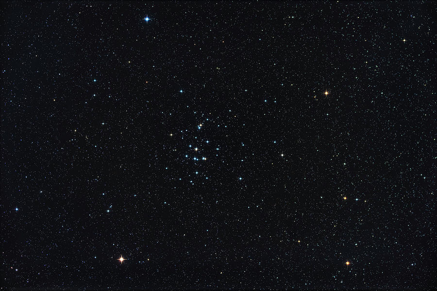 Messier 44, The Beehive Star Cluster Photograph by Alan Dyer