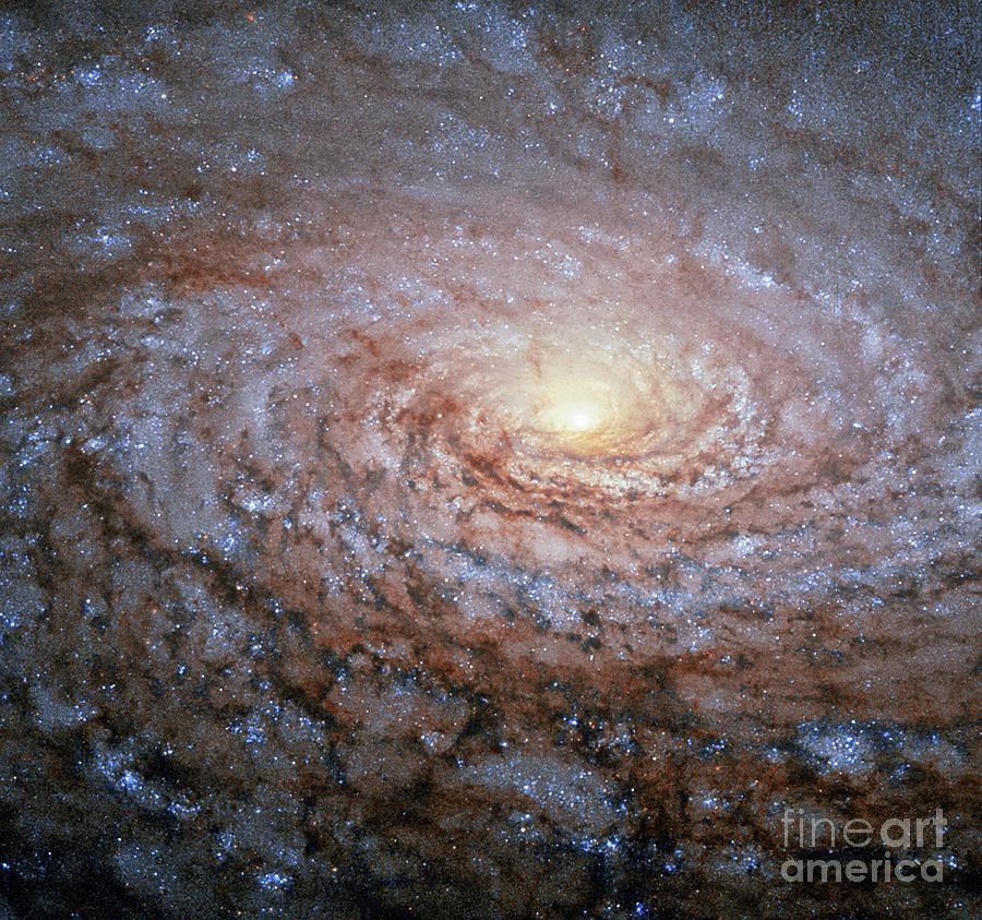 Messier 63 Sunflower Galaxy Photograph by Esa/hubble & Nasa/science Photo Library
