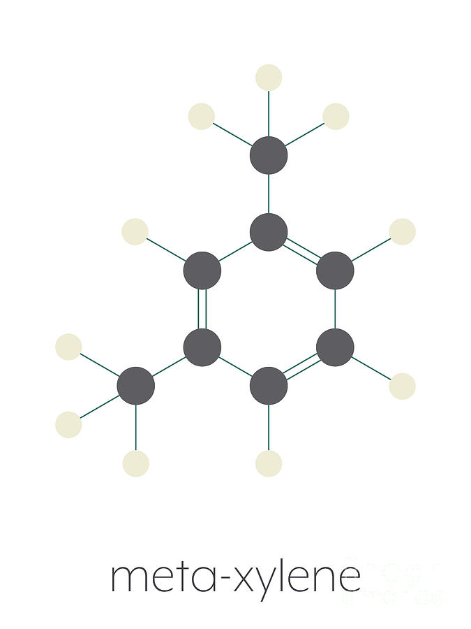 Meta-xylene Aromatic Hydrocarbon Molecule by Molekuul/science Photo Library