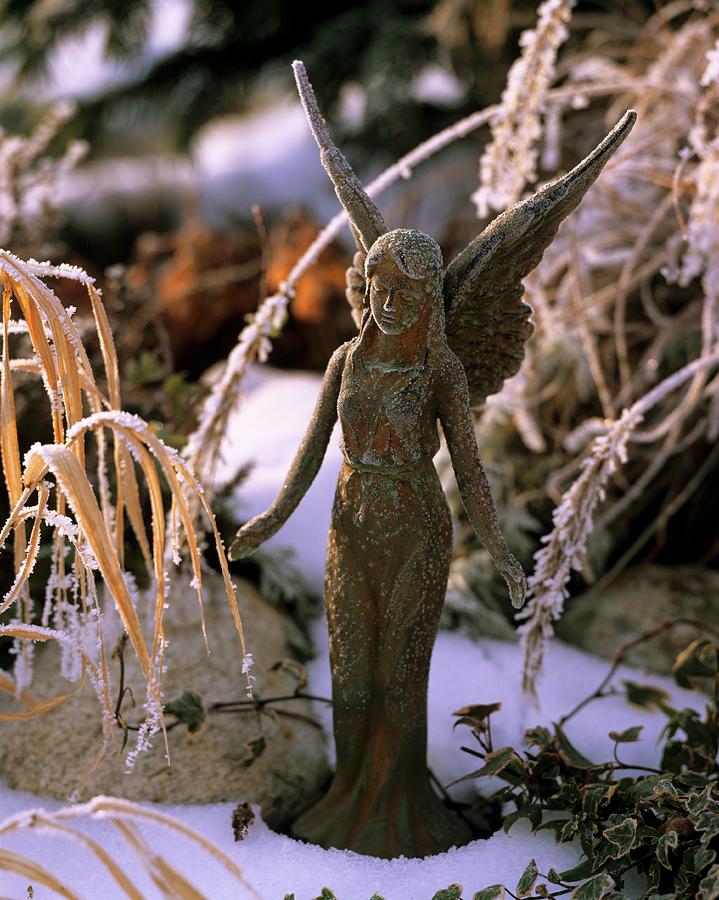 Metal Angel With Hoar Frost Photograph by Friedrich Strauss