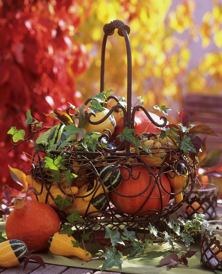 Metal Basket Decorated For Autumn With Squashes And Ivy Photograph by Strauss, Friedrich
