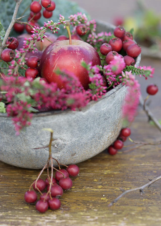 Metal Bowl Filled With Haws, Apples And Heather Photograph by Martina Schindler