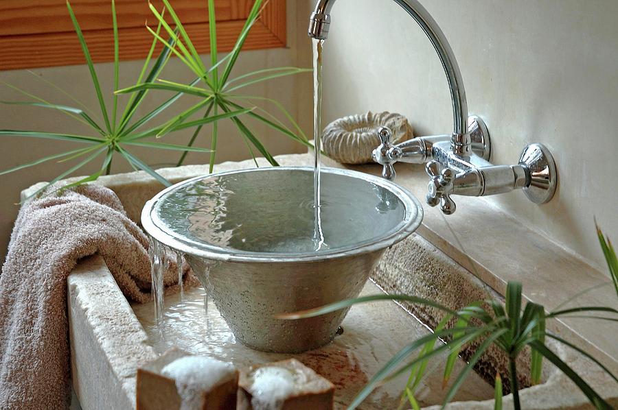 Metal Bowl In Stone Sink Flanked By Papyrus Plants Photograph by Twins