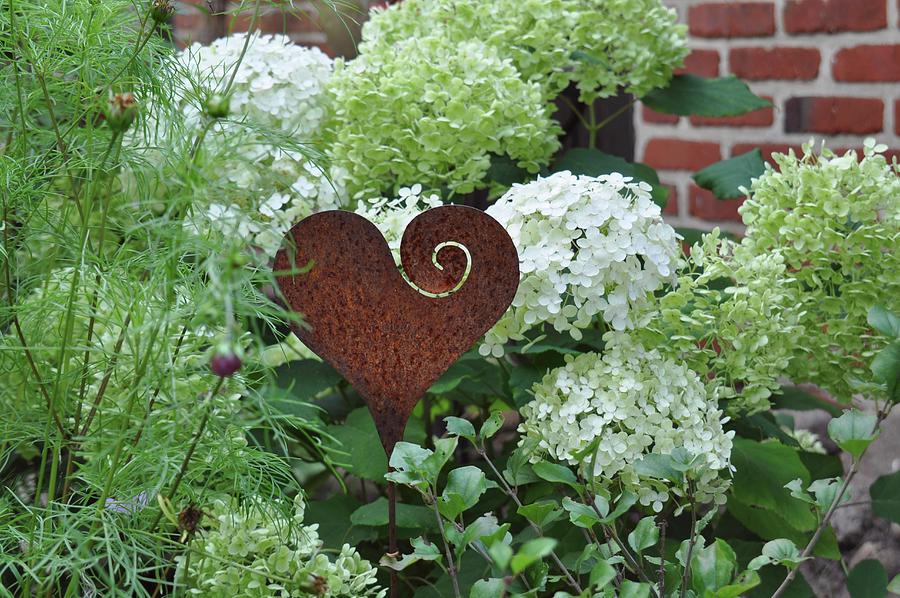 Metal Heart As Garden Decor Photograph by Daniela Behr
