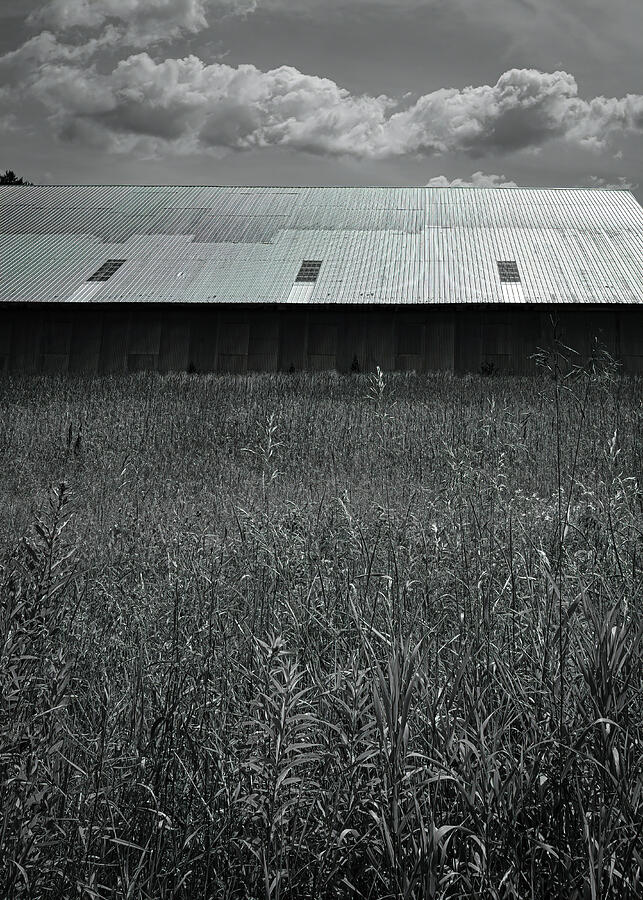 Metal Roof Photograph by Bob Orsillo Metal Roof Photograph by Bob Orsillo