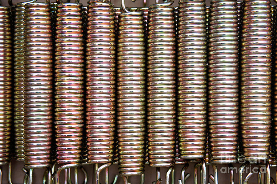 Spring Photograph - Metal springs  by Tom Gowanlock