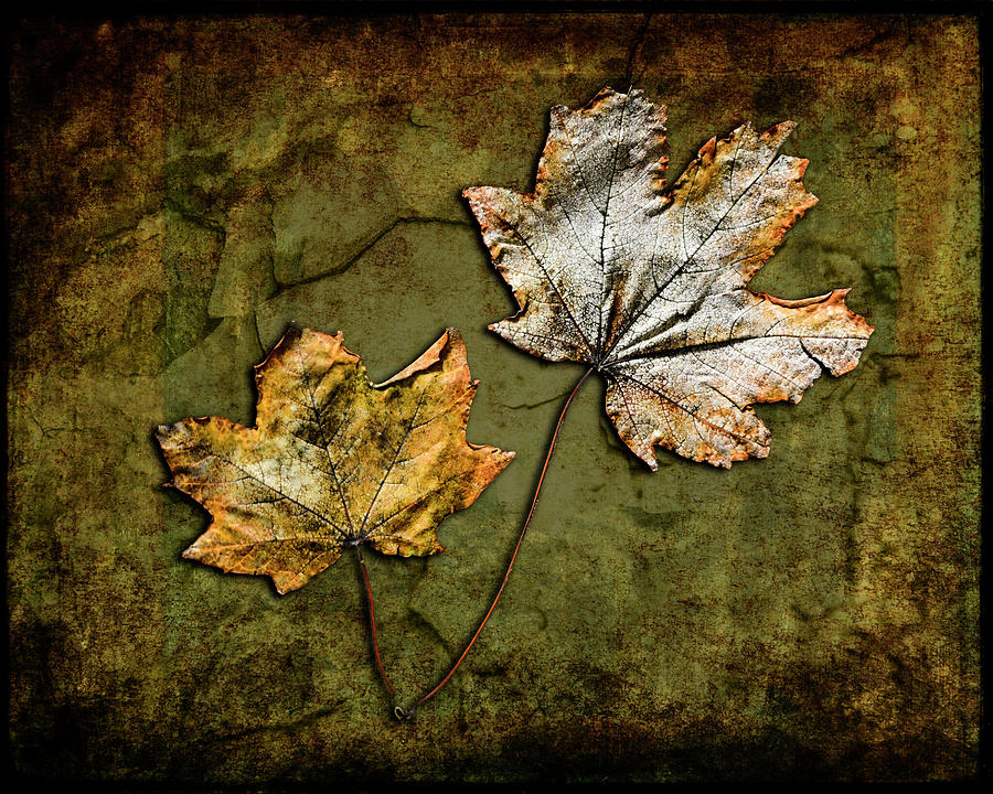 Leaves Mixed Media - Metallic Leaf 2 by Lightboxjournal