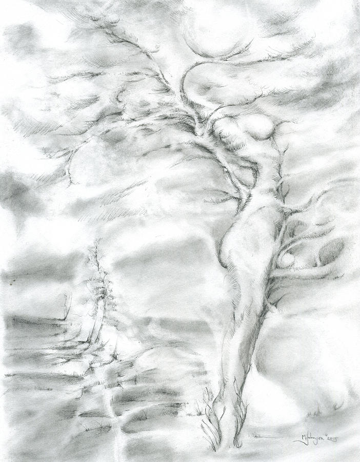 Metamorphosis I by Mark Johnson Metamorphosis I by Mark Johnson
