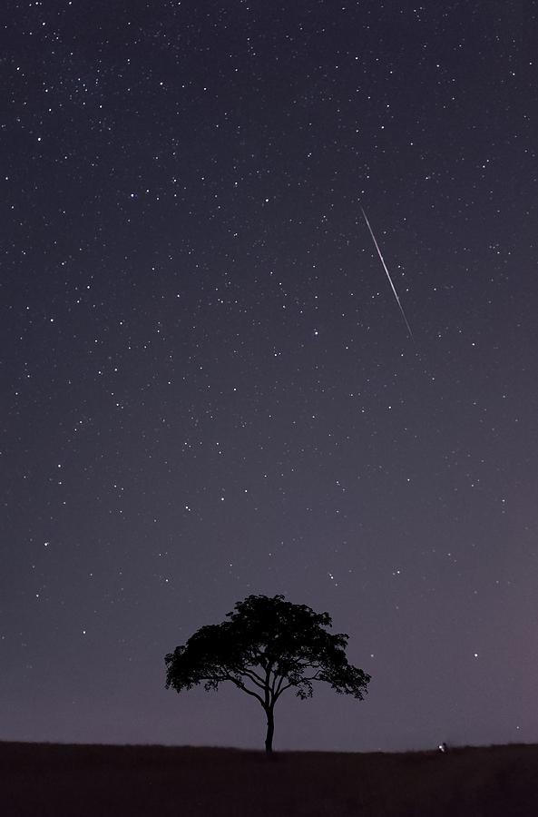 Meteor Shower Photograph by Aligoreishi