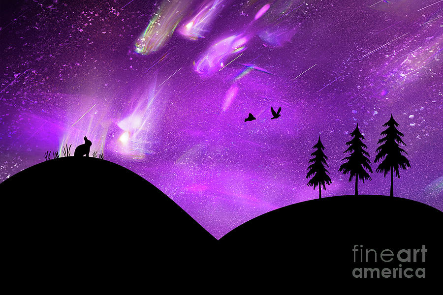 Meteor Shower Digital Art by Elisabeth Lucas - Pixels