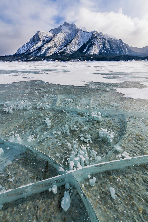 Methane Bubbles Frozen In Ice, Abraham Photograph by Panoramic Images
