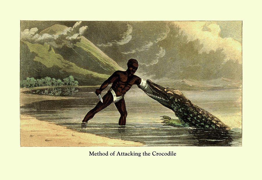 Method of Attacking the Crocodile Painting by Frederic Shoberl