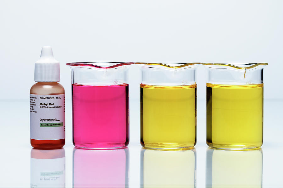 Methyl Red Indicator Photograph by GIPhotoStock Images Fine Art America