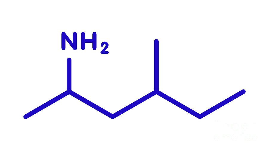 Methylhexanamine Stimulant Drug Molecule Photograph by Molekuul/science Photo Library