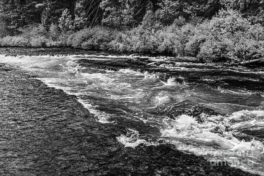 Metolius River, Black and White Wall Art, Black and White Prints,Home Decor, Photograph by David Millenheft